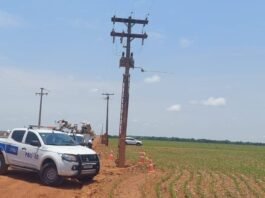 Gerente de granja foge durante operação de combate ao furto de energia no distrito de Primaverinha