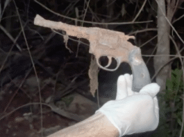 Ossada é localizada em Sinop e polícia investiga se é de mulher que desapareceu há dois anos