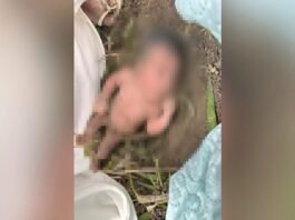 Recém-nascida é encontrada sem roupas, com cordão umbilical e coberta de terra em formigueiro no ES