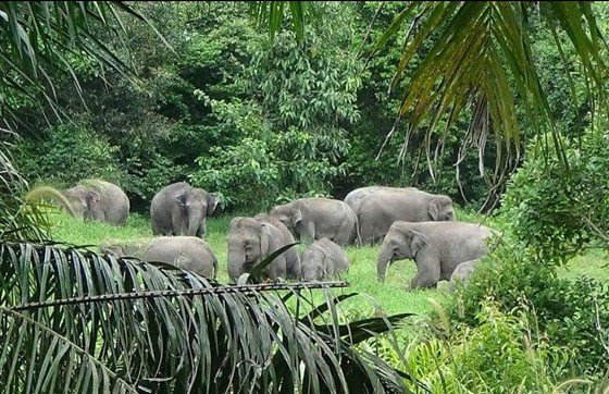 a1f0168a99eb751c00aadfa2a978666d-reportermt-com