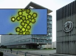 OMS monitora nova variante da gripe e alerta para possível avanço em 2026