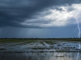 La Niña se aproxima e acende alerta para chuvas torrenciais e seca precoce em 2026