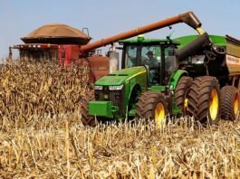 Nova mutum e Diamantino estão entre as cidades mais ricas do Agro brasileiro; veja ranking