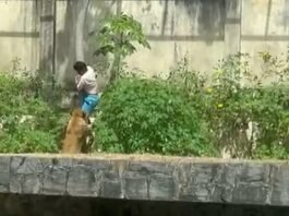 Homem é morto por leoa após invadir recinto dos felinos em zoo na PB
