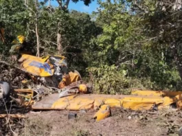 Avião cai em fazenda e piloto passa a noite ferido no mato até ser resgatado
