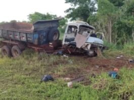 Dois homens morrem ao serem atacados por enxame de abelhas após acidente no interior