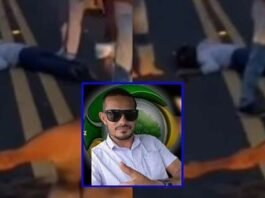 Piloto morre após colisão com égua em estrada estadual