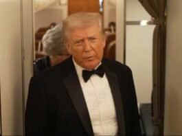 Trump fala em tornar Canadá, Groenlândia e Venezuela estados americanos