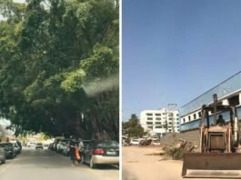Vídeo mostra transformação de rua após retirada de árvores em Cuiabá