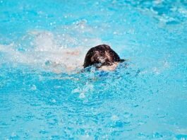 Criança de 2 anos fica 10 minutos submersa em piscina de chácara e morre afogada