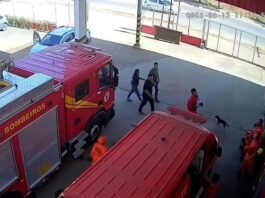 Corpo de Bombeiros reanima criança que teve parada cardiorrespiratória após ser arremessada de motocicleta