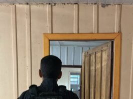 Polícia Civil deflagra operação contra grupo suspeito de extorquir influenciadora digital em Mato Grosso
