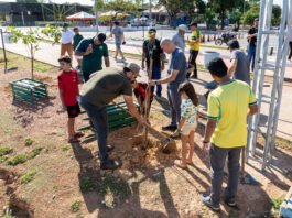 Prefeitura de Cuiabá lança campanha que troca plantio de árvores por pacotes de figurinhas