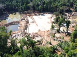 Polícia Ambiental desativa garimpo ilegal e apreende escavadeira durante operação em Paranaíta