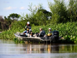 Mudança na Lei da Pesca deve liberar mais espécies em MT