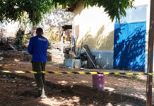 Após denúncias de cães mortos e maus-tratos, Polícia Civil faz perícia em unidade