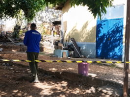 Após denúncias de cães mortos e maus-tratos, Polícia Civil faz perícia em unidade