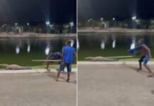 Homens usam pau para atacar jacaré Celso no Parque das Águas