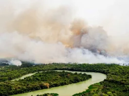 Seca extrema faz sumir 336 mil hectares de rios e lagoas em Mato Grosso