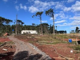 Tornado com ventos de até 200 km/h atinge Paraná