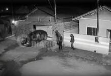 Câmeras flagram falsos policiais invadindo casa para executar servidor em Mirassol; vídeo
