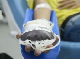Novas regras mudam critérios para doação de sangue; entenda