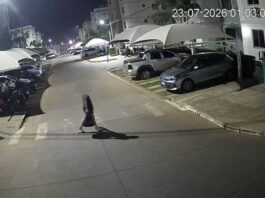 Vídeo mostra mãe descartando recém-nascida em lixeira de VG