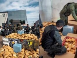 Quatro são presos com 450 tabletes de ‘supermaconha’ em MT