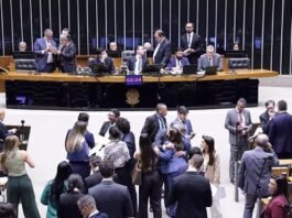 Câmara aprova suspensão da CNH para quem abandonar animal na rua