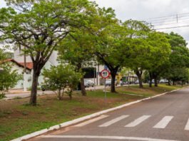 Entre as mais quentes do país, Rondonópolis pode ter redução de até 8°C com ruas arborizadas