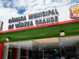 Motoristas relatam falta de remoção de caminhões e cobram assistência em rodovia pedagiada